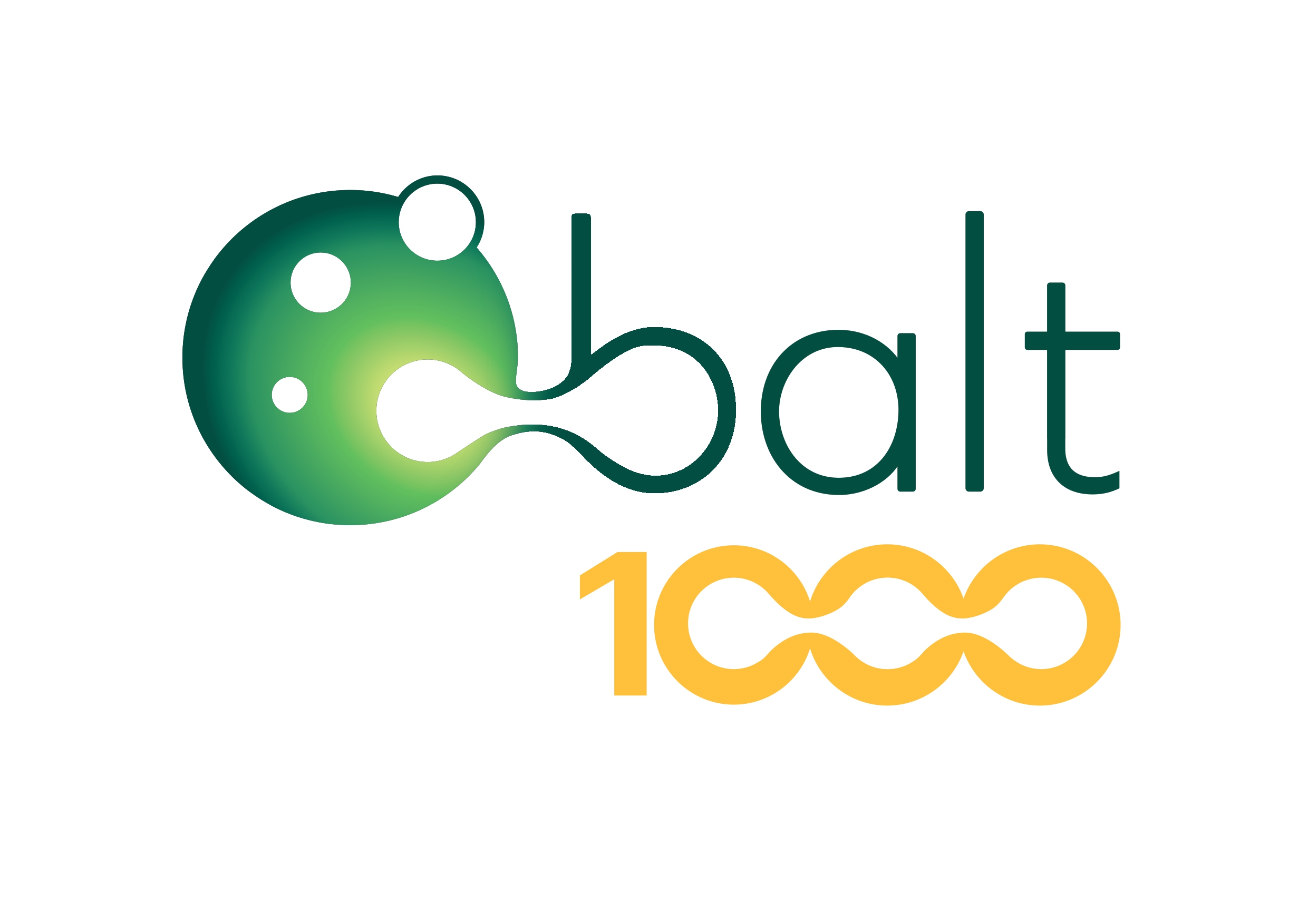 The Balt team has reached 1,000 team members across the globe! 