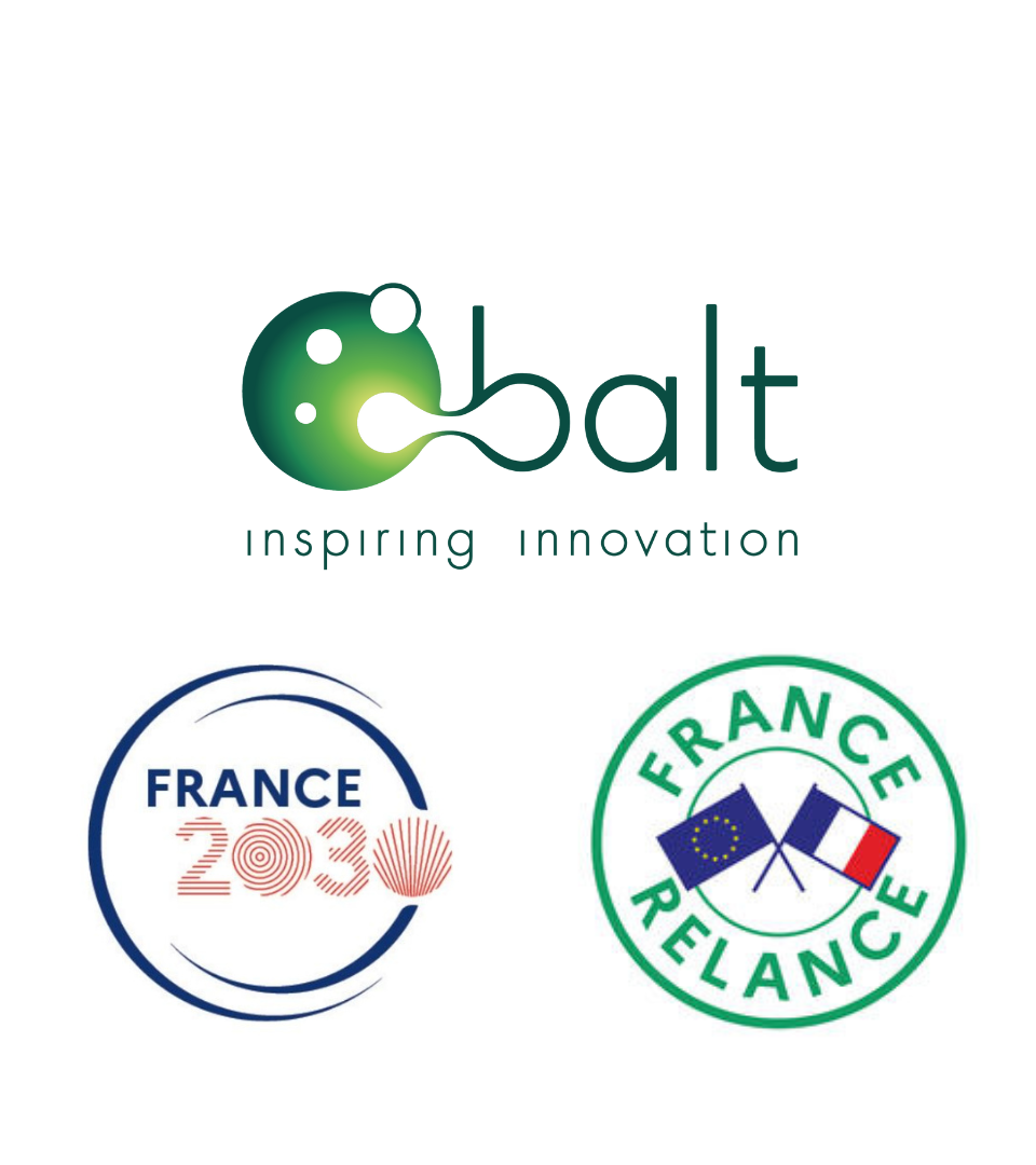 French Government Grant for Research & Development